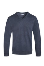 Load image into Gallery viewer, Solid V-neck Sweater
